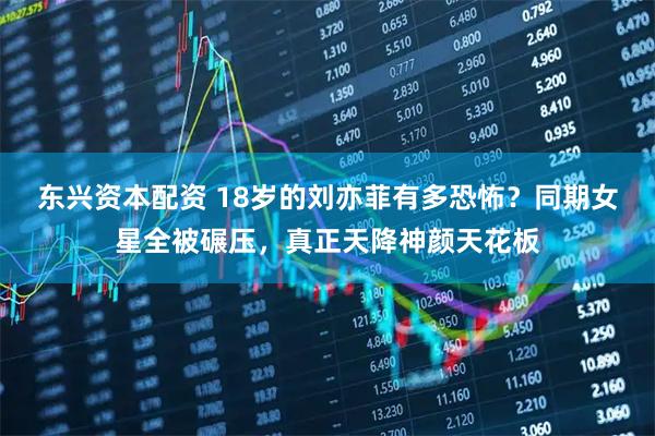 东兴资本配资 18岁的刘亦菲有多恐怖?同期女星全被碾压,真正天降神颜天花板